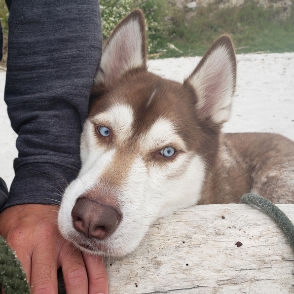 Meet your Posher, Alicia - Picture 12 of 16